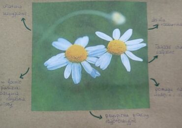 OGÓLNOPOLSKI  KONKURS  EKOLOGICZNY  „EKO-PLANETA” - WYNIKI