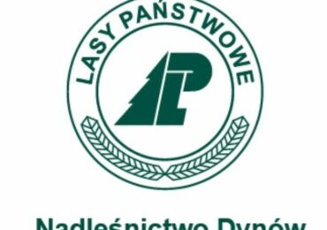 Dary lasu - malowane światłem lub pędzlem