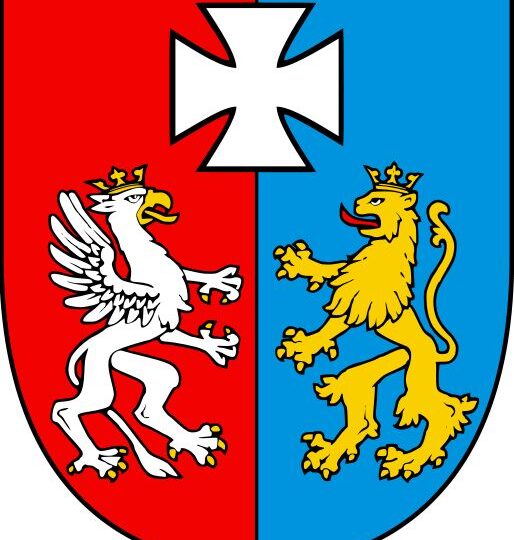 Ogłoszenie naboru wniosków o przyznanie stypendium