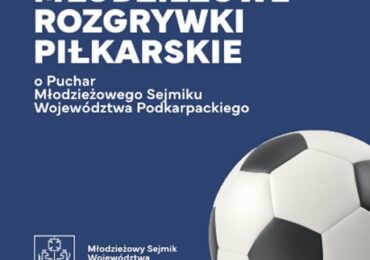 Turniej o Puchar Młodzieżowego Sejmiku  Województwa Podkarpackiego